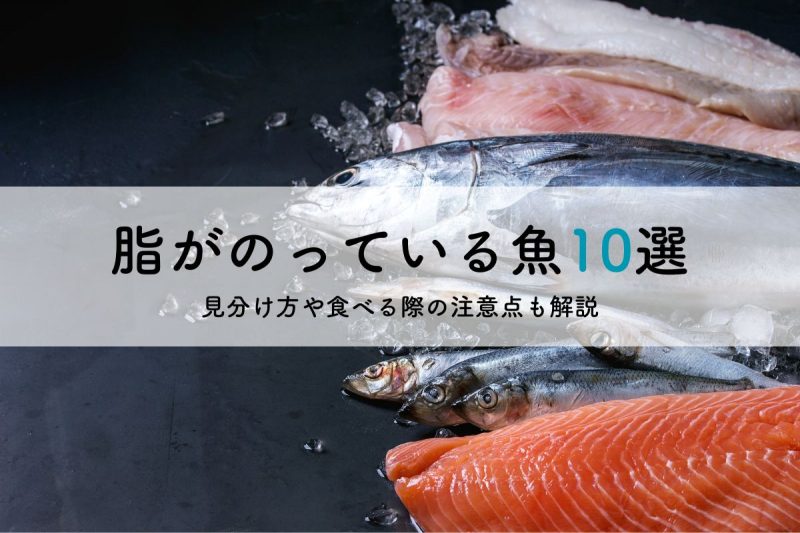 脂の乗った特大サバの一夜干し 約350g×3匹入りの通販津曲商店 鹿児島魚市場