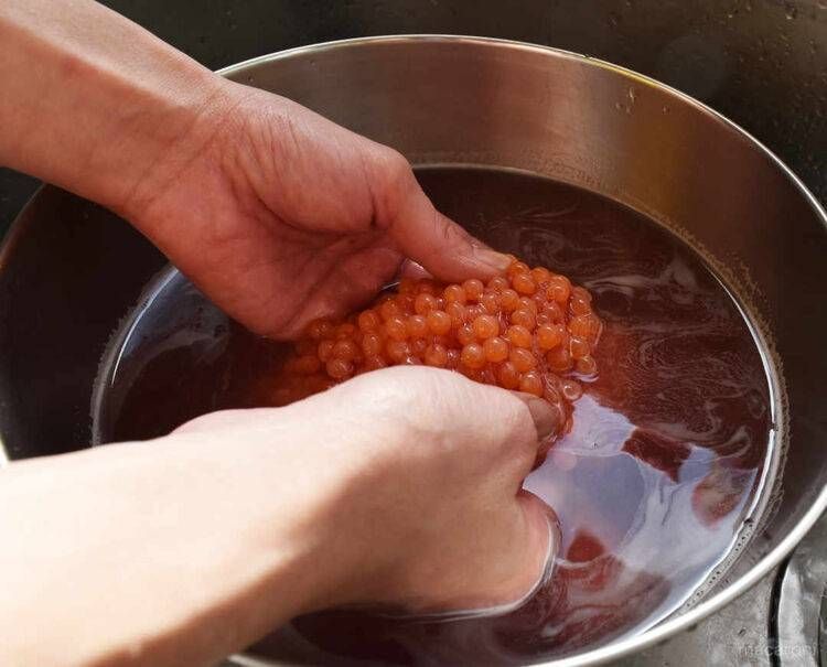 簡単！生筋子のほぐし方＆いくらの醤油漬け