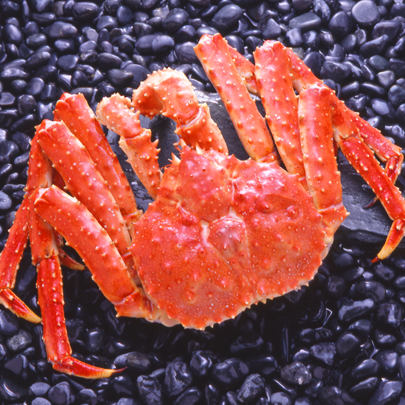 アメ横でカニの値段を調べてきた魚屋が選ぶカニ通販