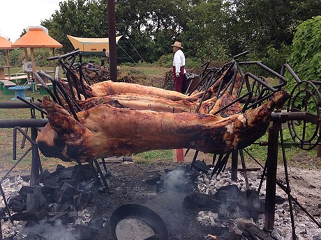 楽天市場 送料無料 仔羊 羊 モモ肉 腿肉 キャンプ 丸焼き 直火焼き 焼肉 BBQ ロースト ラム ラム ラムレッグ 骨付きもも肉 ジンギスカンラム肉 モモステーキ、ランプステーキ、シンシンや内モモ、レッグのロー : 北海道BBQ食材通販かねかん竹内