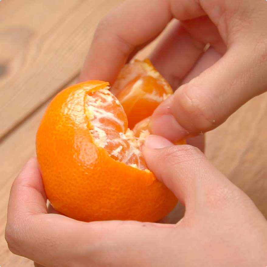 みかんアート「かめ」作り方 How to Make a Tangerine Turtle
