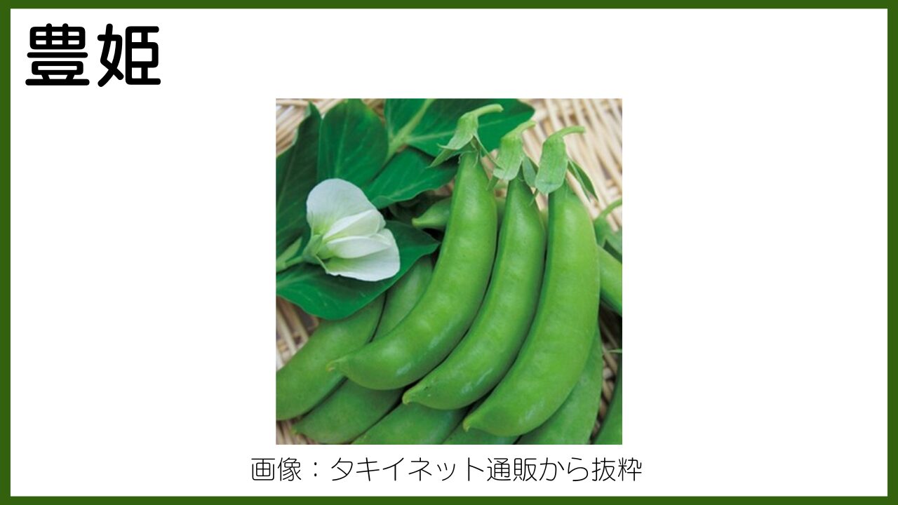 この食材の名前は？ 青臭いなんていわないでグルメ情報誌「おとなの週末Web」