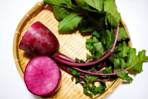赤い食べ物の名前って？抗酸化物質豊富な食材を探ってみる