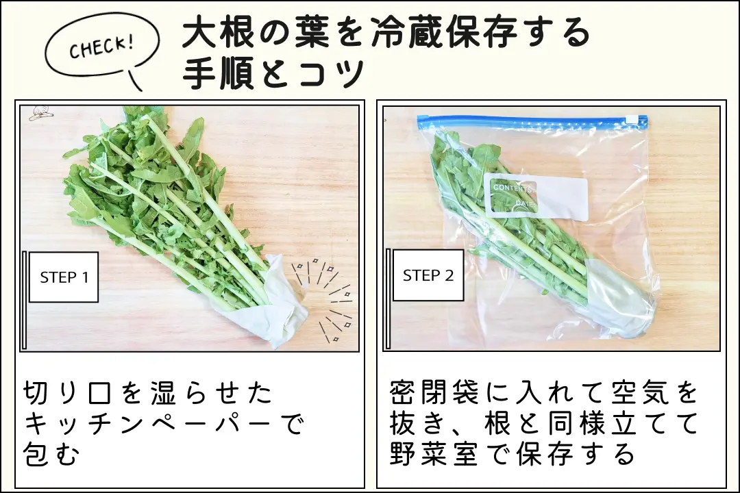 大根って本当に常温保存できるの？検証したら意外な結果に！生活知恵袋