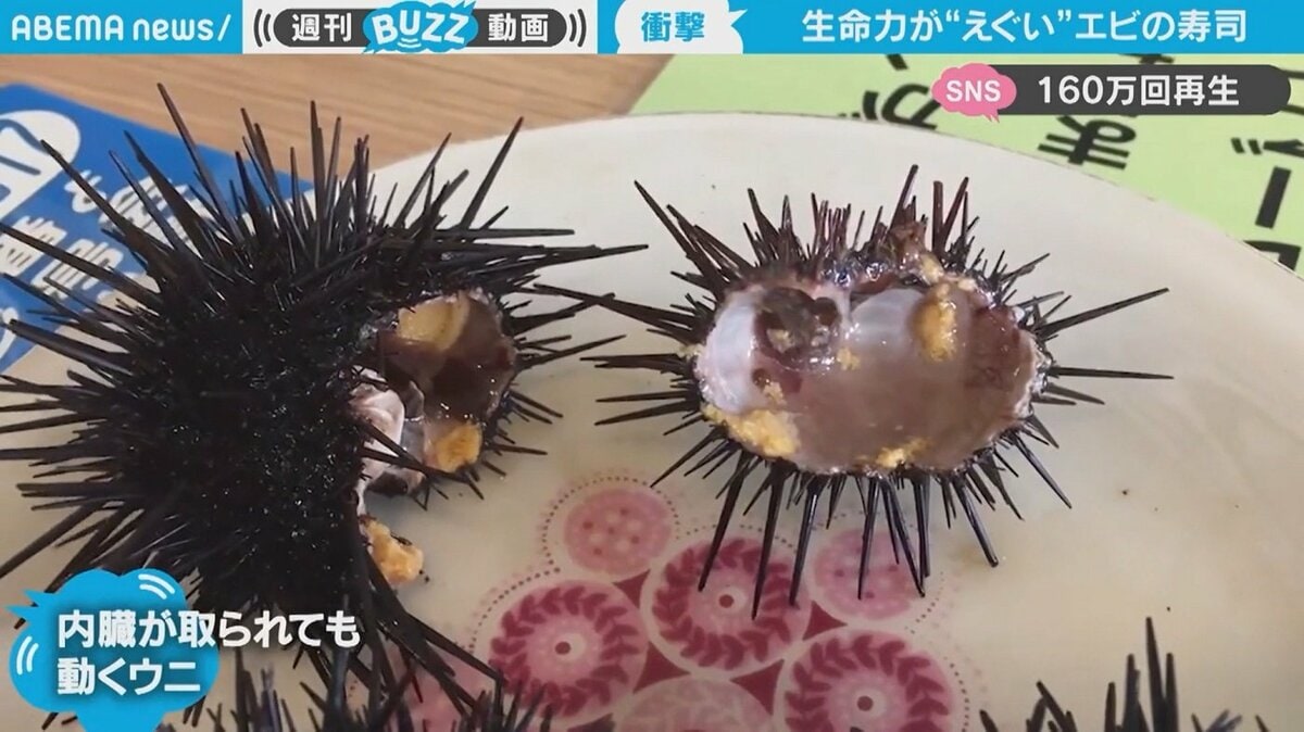 うにの知識 旬や味わい、殻の剥き方などの食べ方をご紹介 旅する久世福e商店