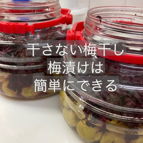梅は秋に干すのがおすすめ？「梅干しの土用干し」の時期や食べごろとは？梅干しの通販 和歌山の南高梅専門店熊平の梅