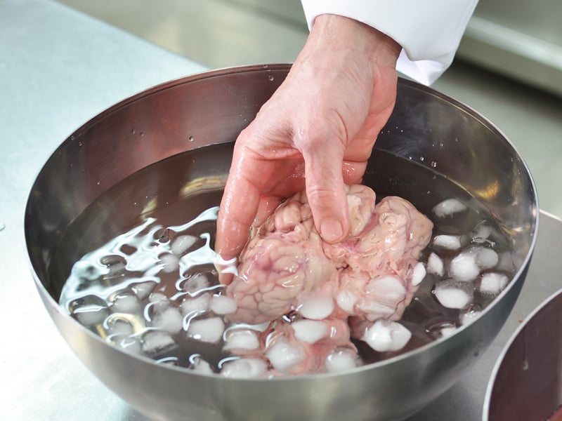 ベルギー・精肉コーナー：ウサギ・子豚・牛の脳２００８年１２月１９日wasaweb.net