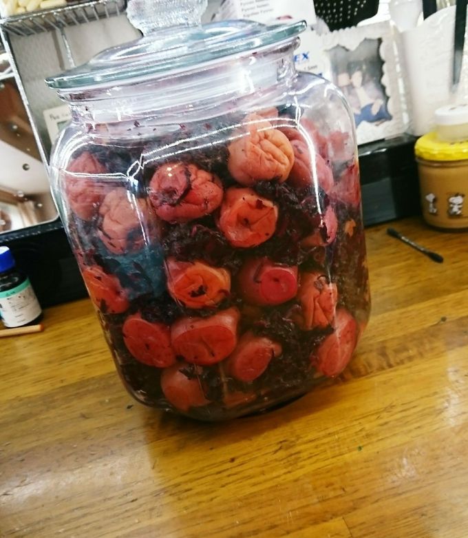 2025梅仕事 干さない梅干し梅漬けの作り方 🔶赤紫蘇のもみ方🔶容器もいらない🔶減塩梅漬け梅干し🔶保存食🔶重石もいらない🔶