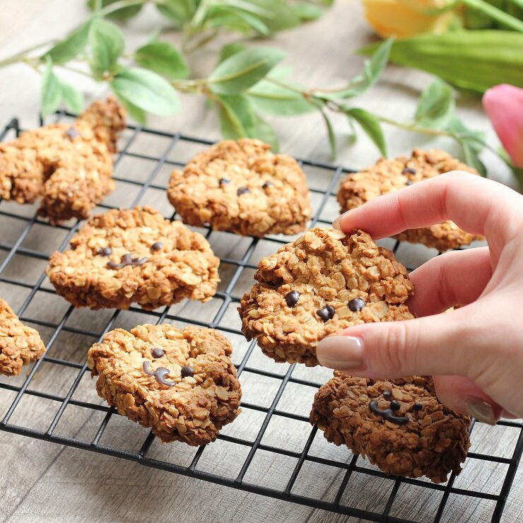 レンチン＊バナナオートミールだけクッキー by あかりんごきっちんクックパッド簡単おいしいみんなのレシピが392万品