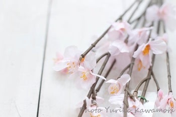 100均工作 卒園・卒業、ホワイトデーにもお菓子ブーケを作って贈ろう♪リビング埼玉Web