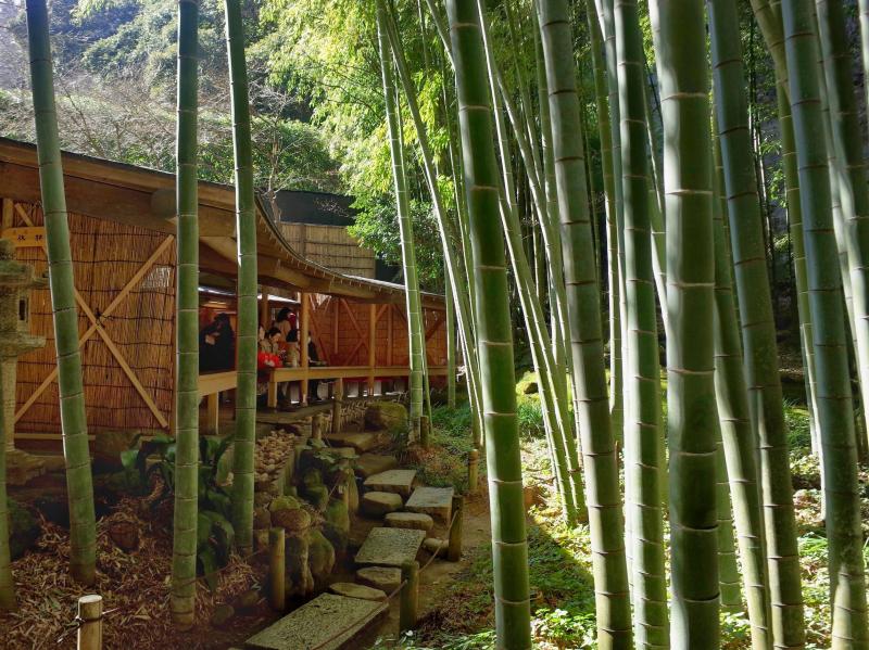 竹の庭にある抹茶席：休耕庵～鎌倉：報国寺～