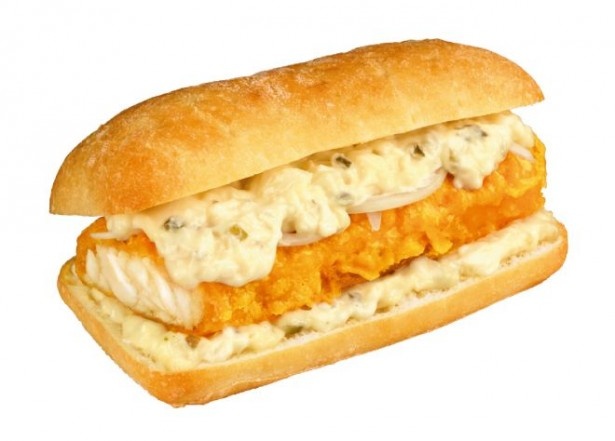 サンドフィッシュスキンク !! - ☆kenny東京本店☆