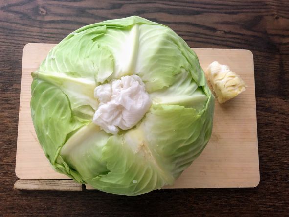 キャベツの保存方法ジモベジ手帖静岡発の野菜宅配サービス ジモベジ の情報メディア