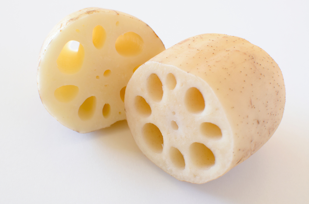 レンコンの保存 常温・冷蔵・冷凍の日持ちと保存テクニックを紹介！ふるなび公式ブログ ふるさと納税DISCOVERY