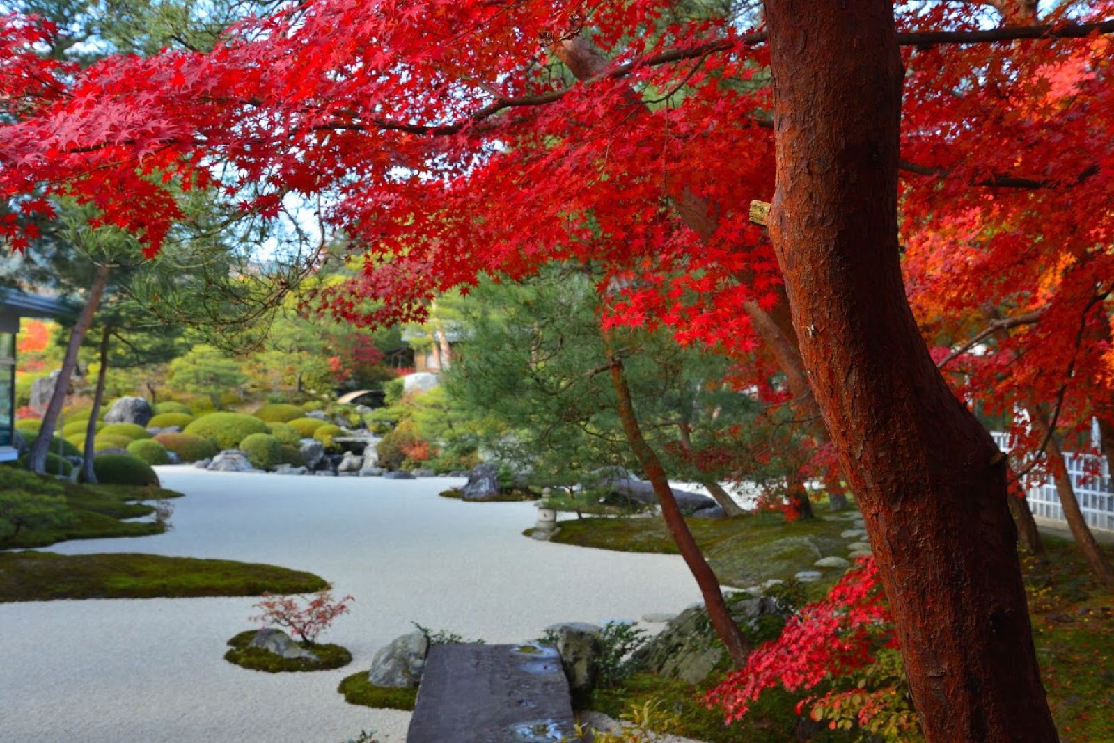 はっしーさんの投稿 足立美術館ことりっぷ