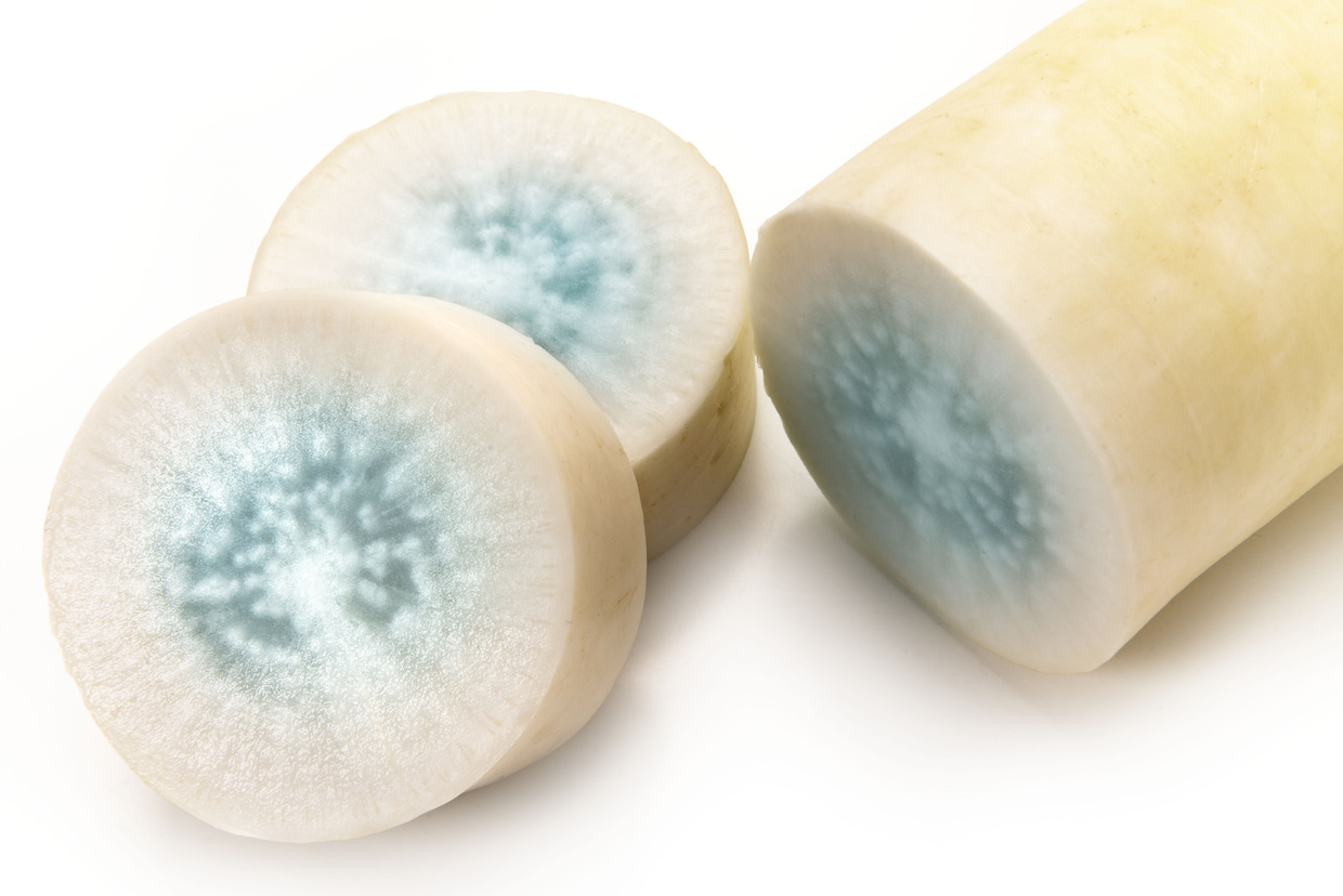 大根の青い変色=青あざ症HarroPage