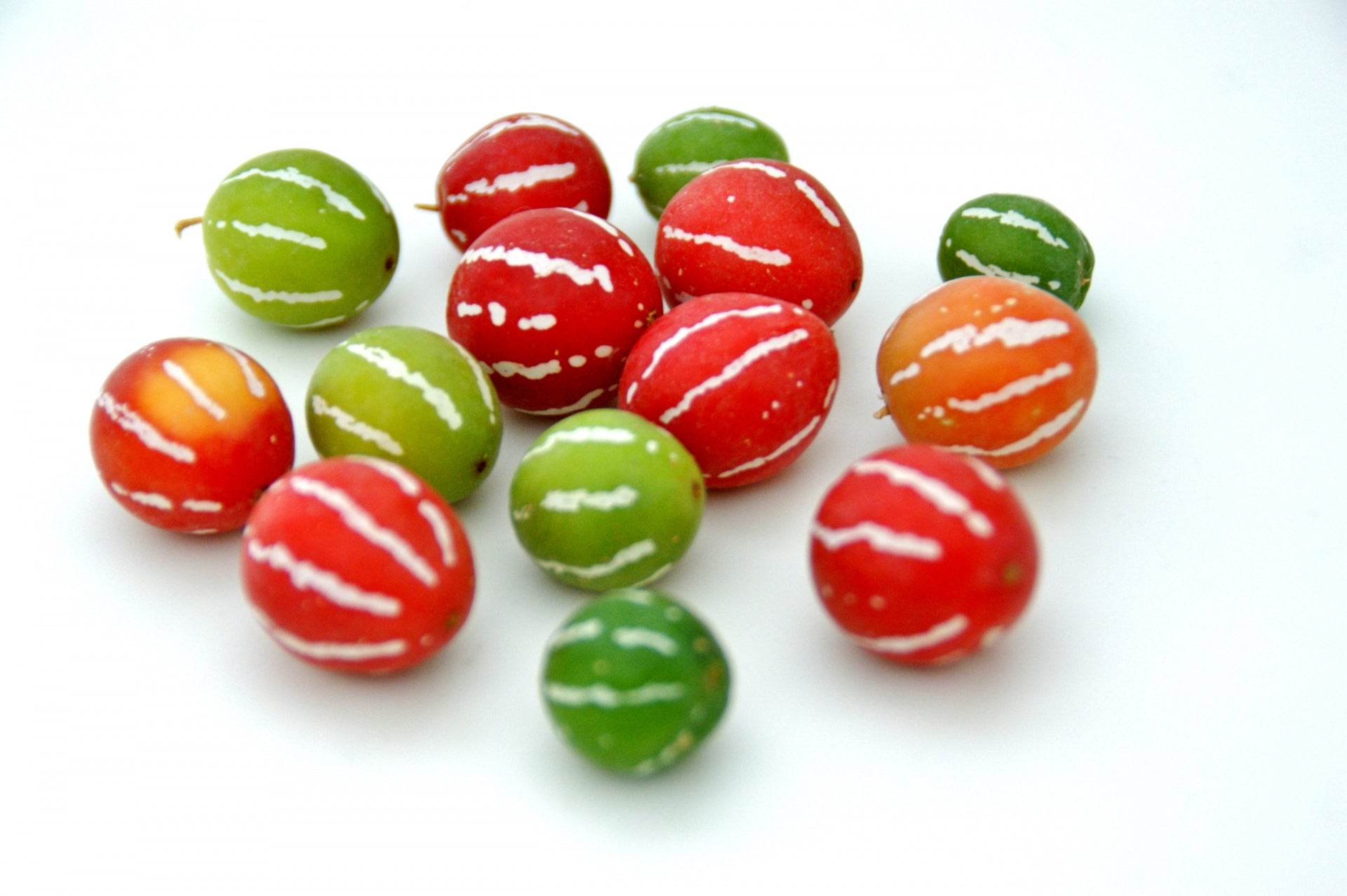 普通は食べないカラスウリの実を食べてみたら結構美味しかった 採取から調理方法までを紹介健啖隊- エキスパート - Yahoo!ニュース