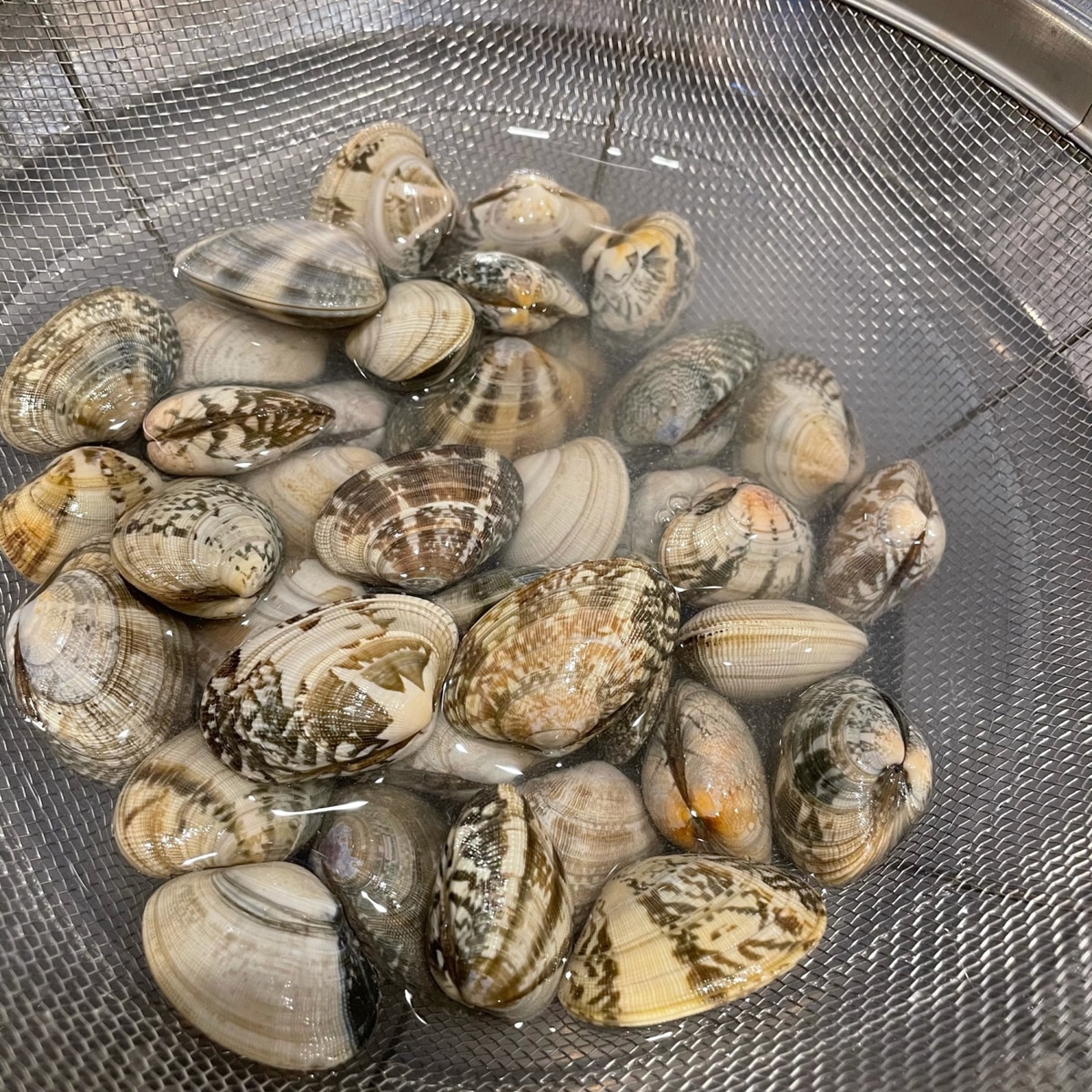 プロに聞く！ 「あさり・しじみ・はまぐり」の砂抜き・5分で砂抜きする裏ワザも検証季節の食材のHOW TOアマノフーズ公式ブランドサイト