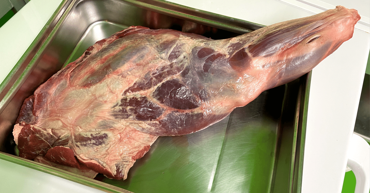 通販 自然食 天然食 広島県産イノシシ 熟成 猪肉 希少部位 煮込み用 ホホ肉 ブロック 500g - 備後ジビエ製作所