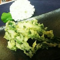 こごみぜんまいの写真素材FYI00404956ストックフォトの Qlean Market キュリンマーケット