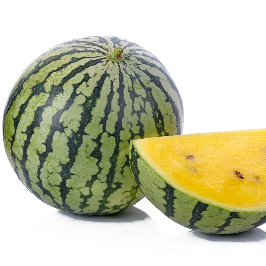 できる♪スイカ栽培 大きなスイカを育てるコツ！摘心.人工受粉初心者！プランター栽培