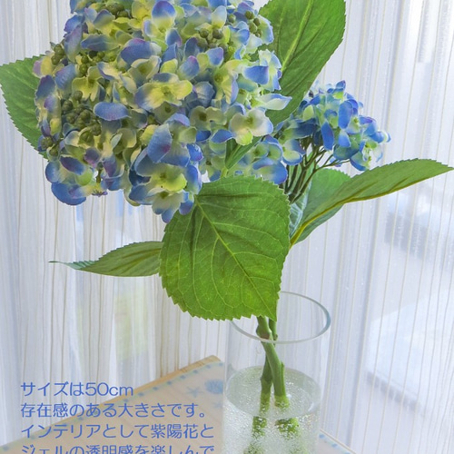 ポップコーンのようなアジサイーオタフクアジサイー雨に似合う紫陽花 - 初心者のための写真講座Hiro Photo