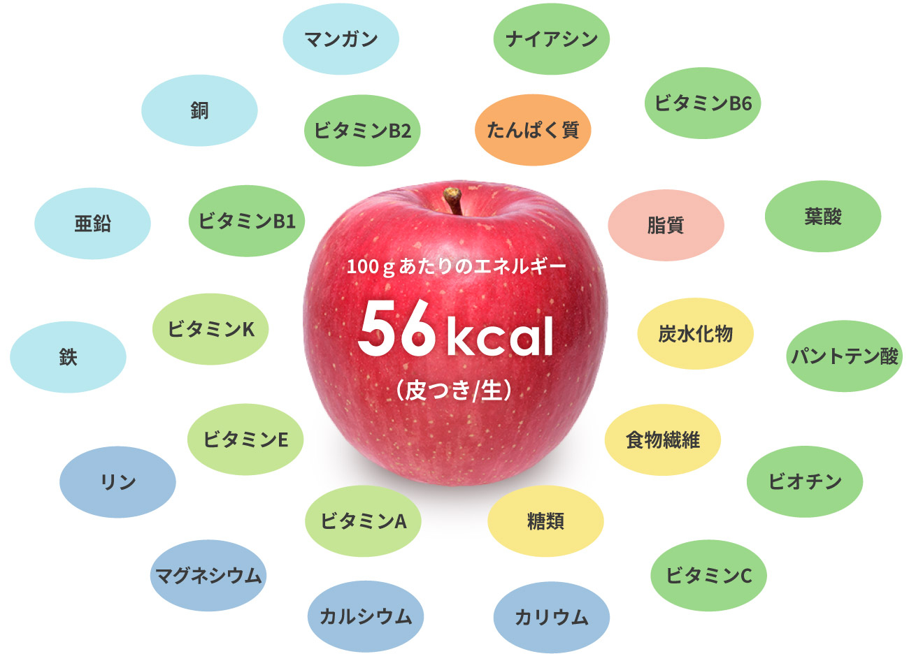 野菜と果物の違いってなに？どっちか論争に決着はつくのか！？ - 大阪で農業っておもろいやん