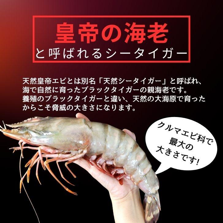 エビ バーベキュー」の人気商品一覧安い商品を通販サイトから探す - 価格.com