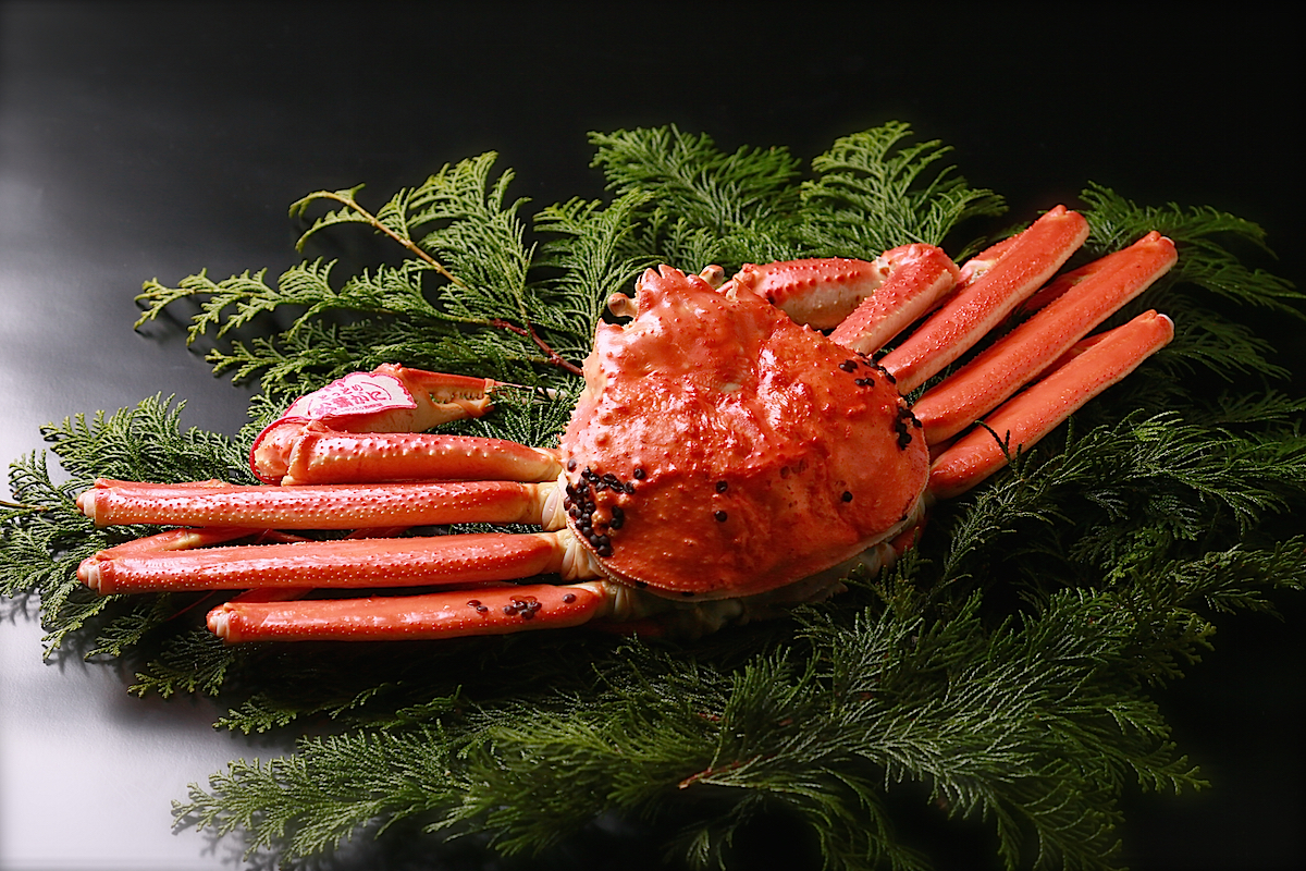 カニビル - Wikipedia