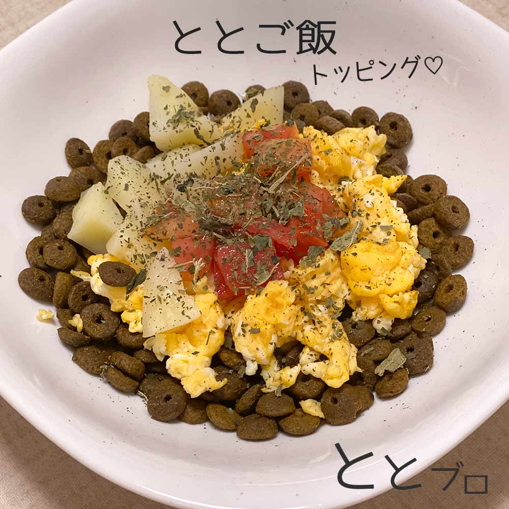 食いつきアップ！ドッグフードのトッピングにおすすめ食材27つチワワごはん