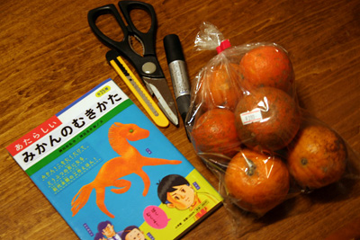 タンカン」から「シークヮーサー」まで沖縄在来のミカンを紹介 – オリオンストーリ