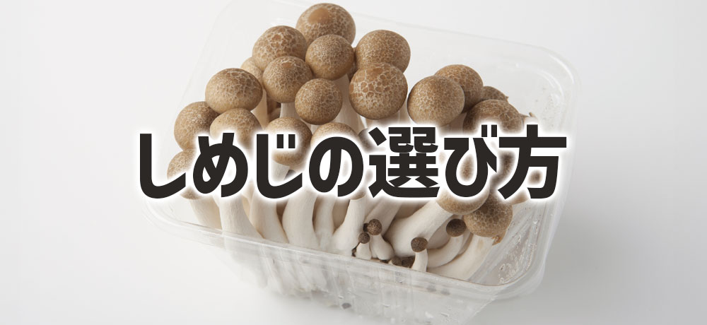 丹波しめじの試食宣伝を行いました！お知らせ福岡大同青果株式会社