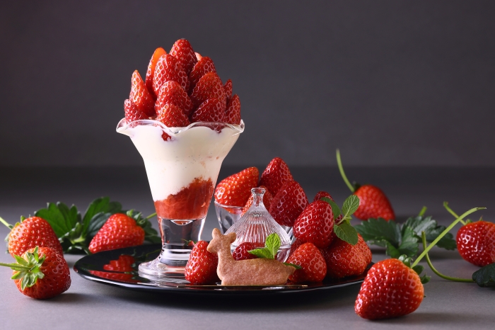 定期便 いちごづくし定期便 年5回発送博多あまおう ムース ジェラート 冷凍あまおう 定期発送 果物 くだもの フルーツ 苺 イチゴ 送料無料2025年1月～7月まで計5回お届け