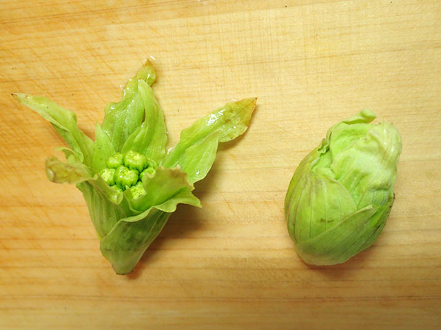 緑あざやか！ふきのとう味噌