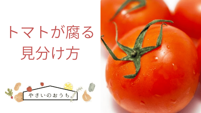 トマト栽培 腐るトマトの育て方.com