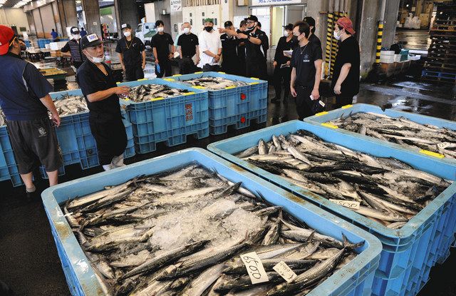 塩釜市魚市場で初セリ マグロなど１８４９本水揚げみなと新聞 電子版
