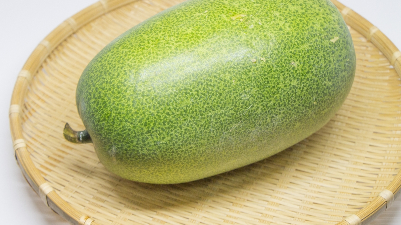 冬瓜の立体栽培、爆成りでした、収穫、片付け、カンタン浅漬けプリメロ菜園通信