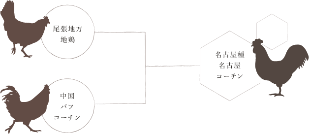 めし絵 純系名古屋コーチンとりめし - ヤマサキのイラスト - pixiv