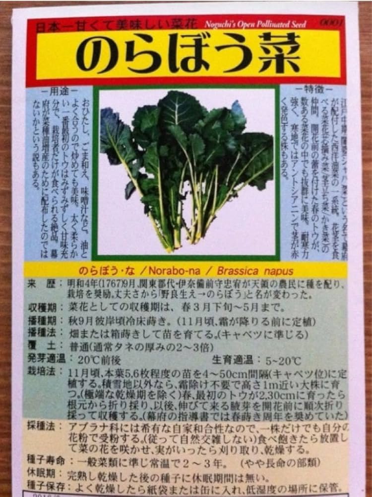 伝統野菜 のらぼう菜 種 100粒 0.3g 葉物野菜 菜の花 プランター栽培の通販 by みさラクマ