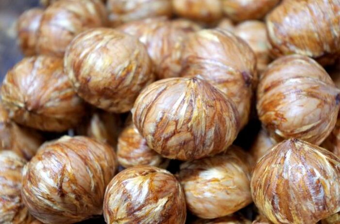 レンジで簡単栗の皮むき 手で簡単にするんと剥ける！シェフが教える栗の剥き方 - YouTube