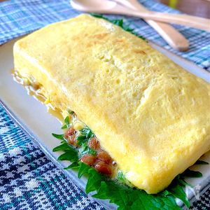 納豆キムチオムレツ納豆×キムチ×チーズを使った、旨味だらけのおつまみオムレツ！今晩のおかずにもどうでしょう？材料卵2個 キムチ60g 納豆1パック粉チーズ大さじ1 白だし小さじ2 万能ネギ適量作り方1.万能ネギ、キムチを刻みます。納豆は付属のタレを