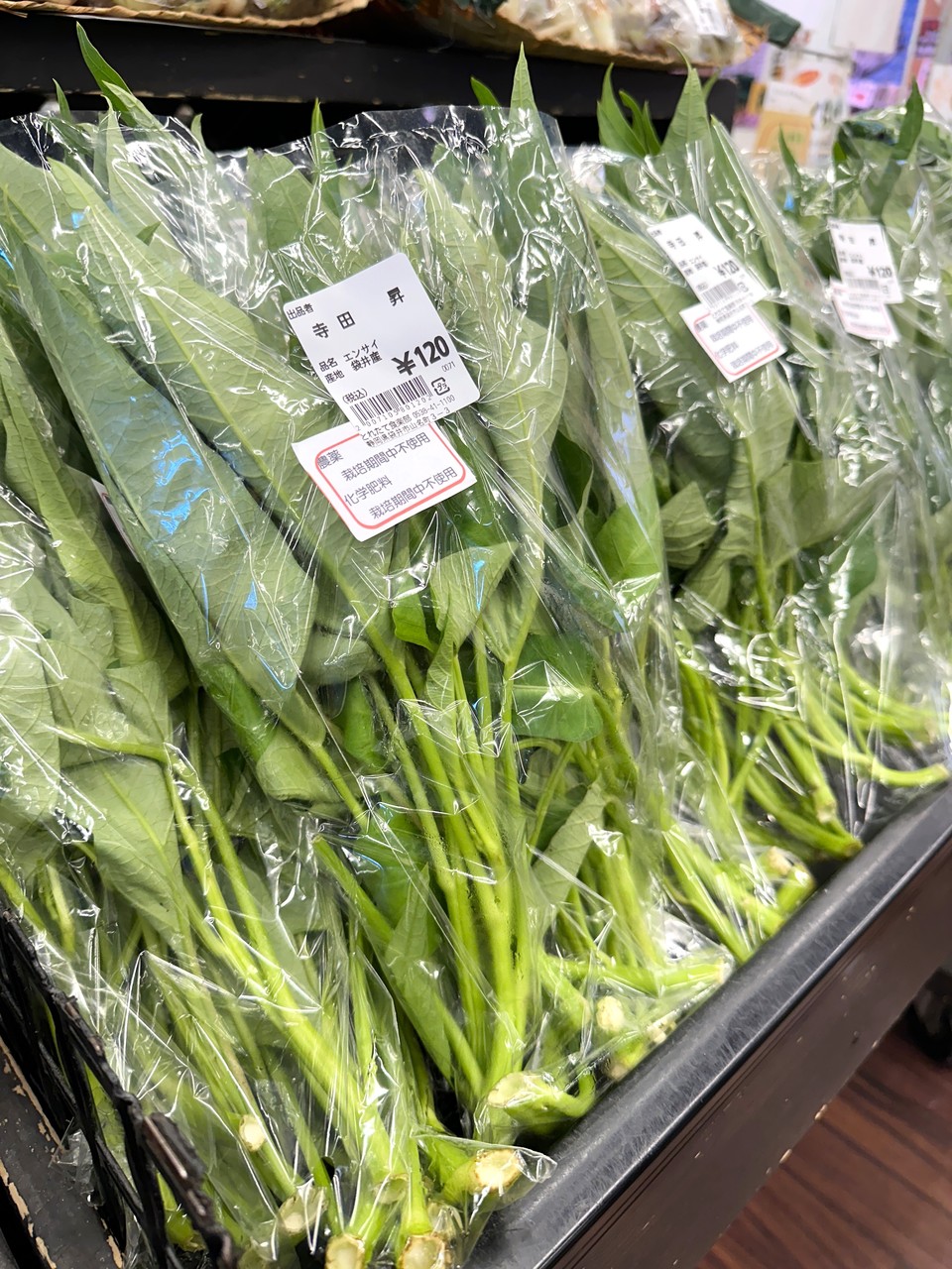 葉物野菜：どれがどれ？園芸でちょこっと科学