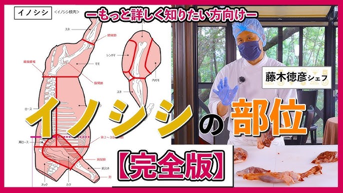 肉道大百科 おすすめのBBQ向け「イノシシ肉」＆レシピあまり他では扱っていない高級・希少肉の、専門店「肉道」