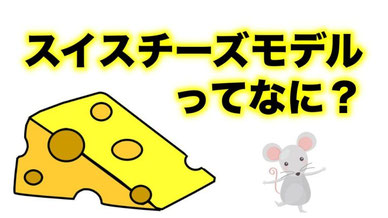 楽天市場 世界8か国10種のチーズ アソート 約50g×10種セット 冷蔵のみ送料無料3～4営業日以内に出荷: セレスト cerest