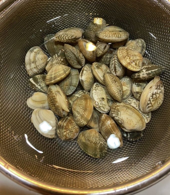 あさりの冷蔵保存方法をおさらい！「砂出し」方法や保存時のポイント、アレンジレシピまで紹介HugKum はぐくむ