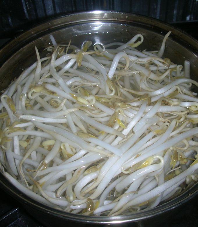 シャキっとおいしく！もやしの上手な茹で方とポイントを解説 – Onnela オンネラ 暮らしに『楽』を、家族にワクワクを