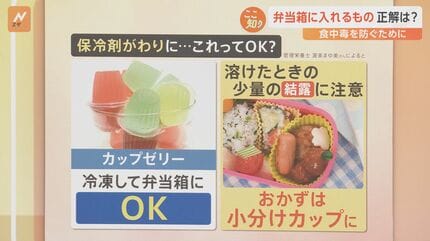 直江津 お弁当のおともに、おいしい保冷剤を食品新発売 無印良品