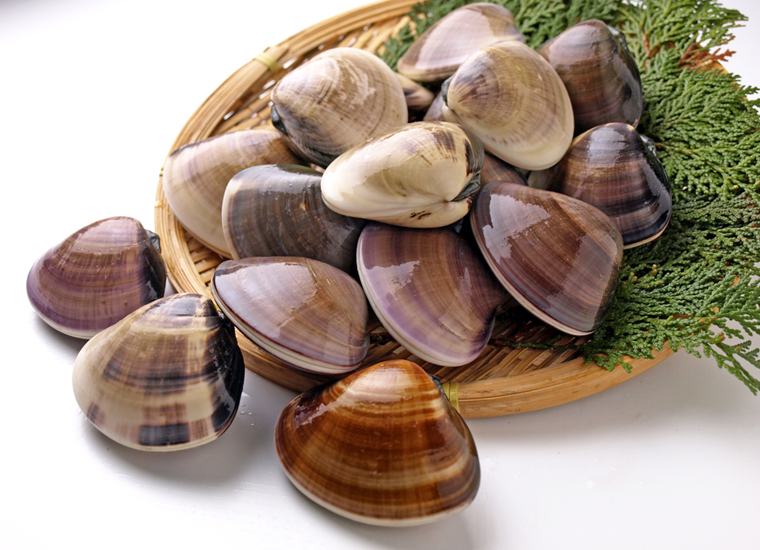 ハマグリ「まいにちの暮らしに安心・品質・お手頃感を」 ユニ