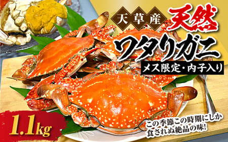 🦀カニの『内子』と『外子』かつおjapan