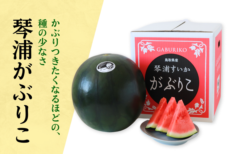 尾花沢産 特大スイカ果汁たっぷり 甘いすいかをお取り寄せ
